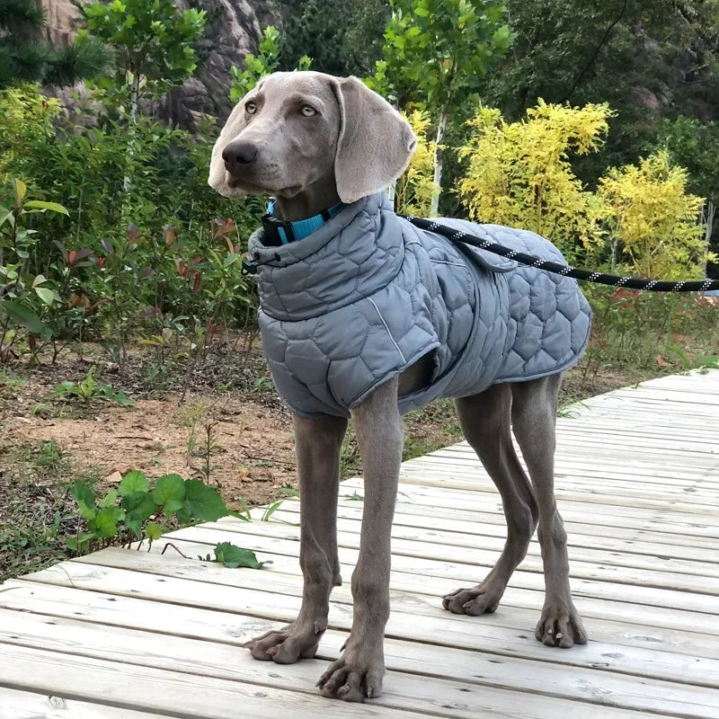 Winter Reflective Snowsuit For Large Breed Dogs Down Jacket Parka