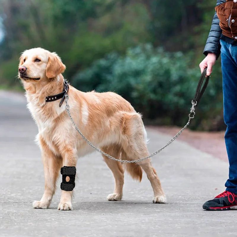 Dog Knee Pads Recovery Brace For Joint Support And Pain Relief