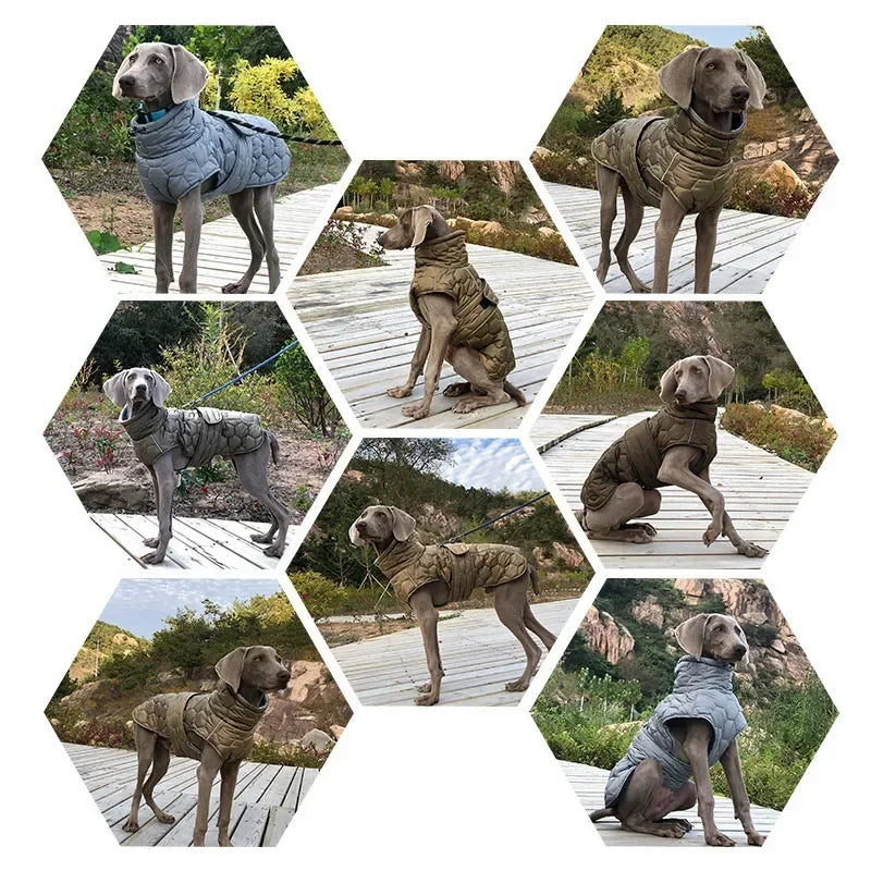 Winter Reflective Snowsuit For Large Breed Dogs Down Jacket Parka