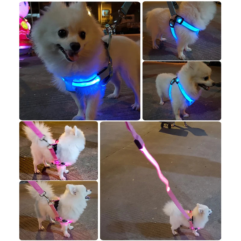 LED Dog Harness No Pull Adjustable Nylon Night Safety