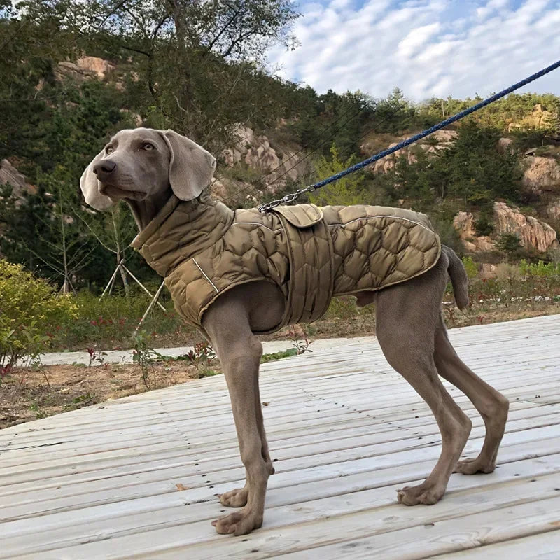 Winter Reflective Snowsuit For Large Breed Dogs Down Jacket Parka