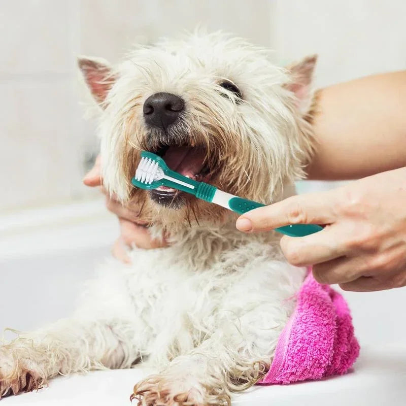 Hign-Concerned Three-Sided Pet Toothbrush For Dog And Cat