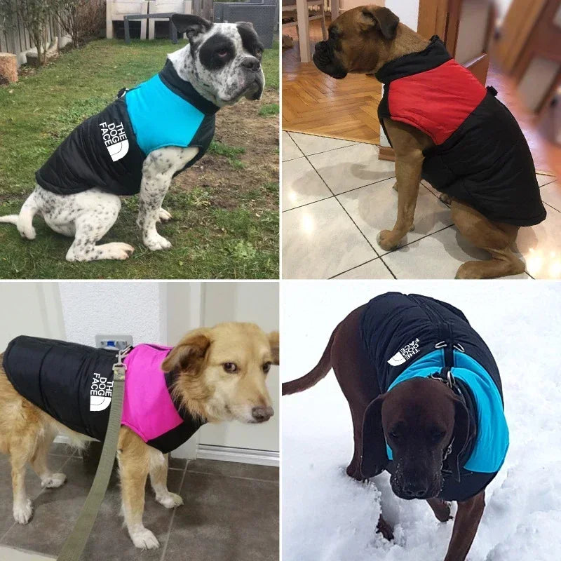 Waterproof Warm Dog Coat Winter Padded Zipper Jacket