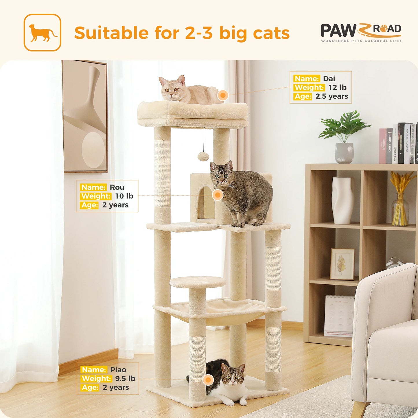 PAWZ Road Indoor Cat Tree 5 Level Tower Large Premium
