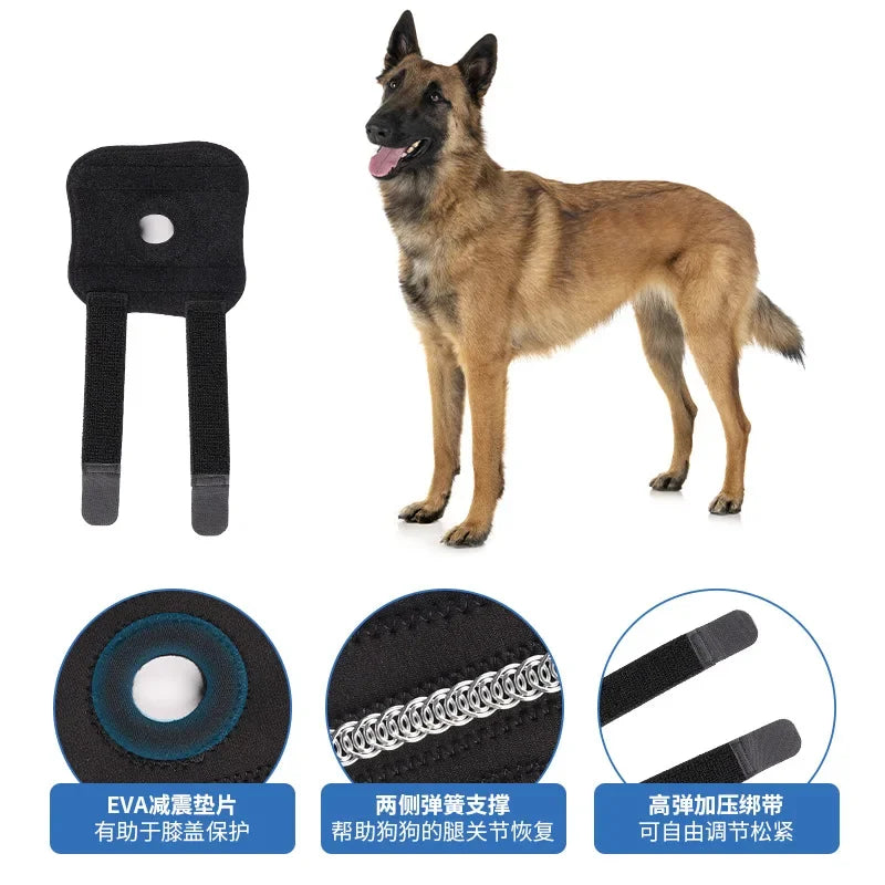 Dog Knee Pads Recovery Brace For Joint Support And Pain Relief