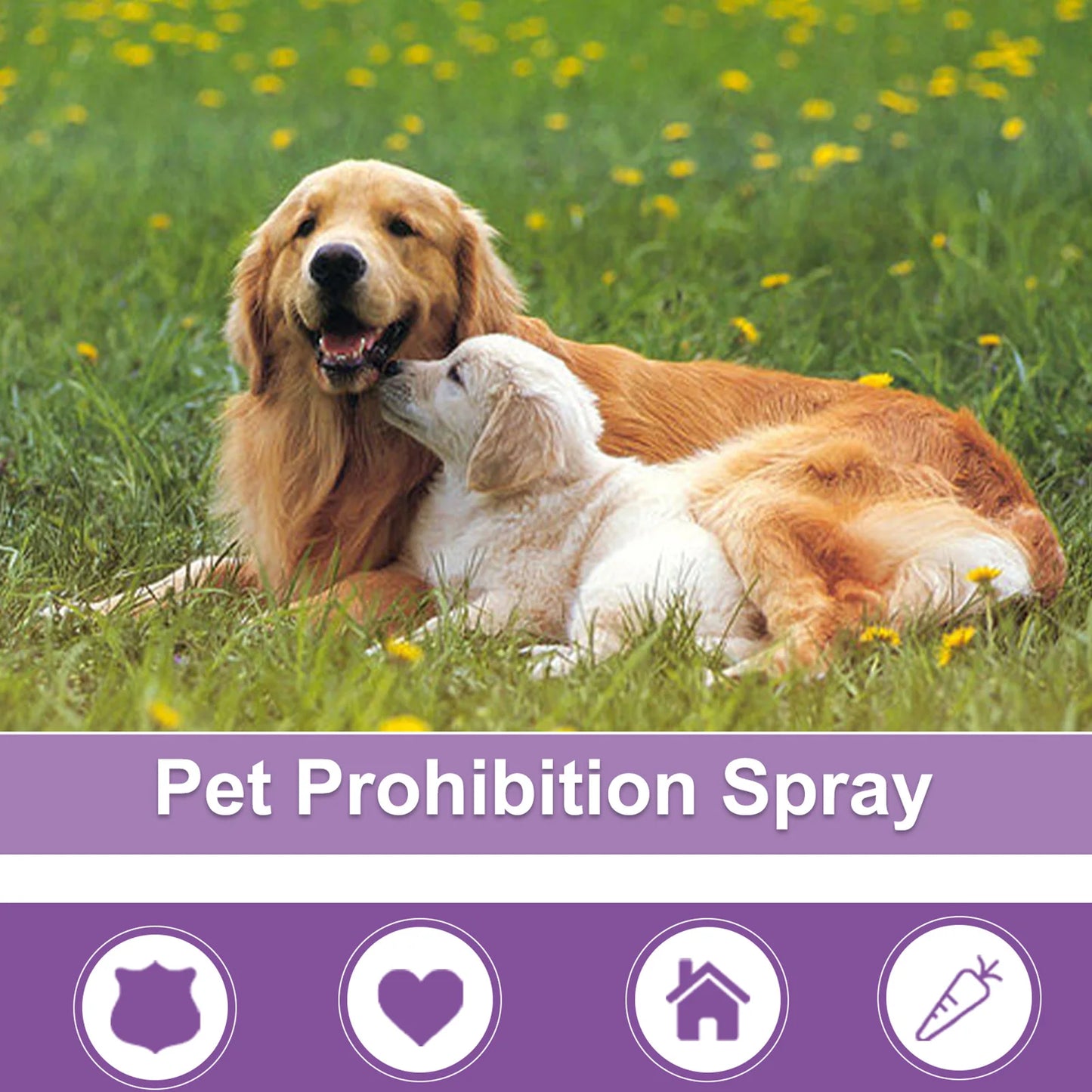 High Concerned Calming Diffuser For Dogs And Cats Anxiety Relief