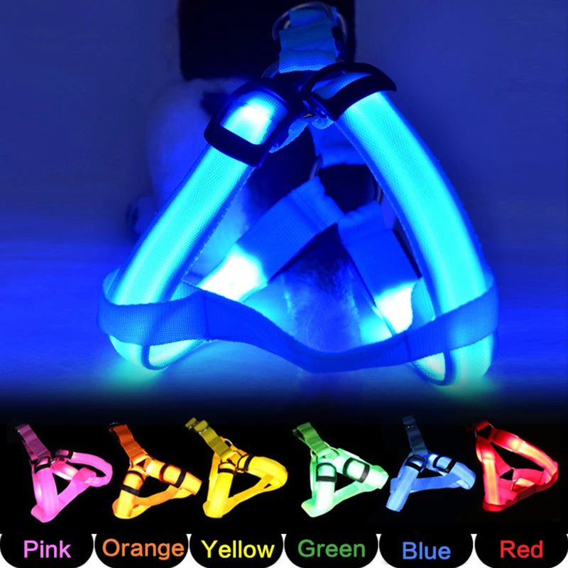 LED Dog Harness No Pull Adjustable Nylon Night Safety