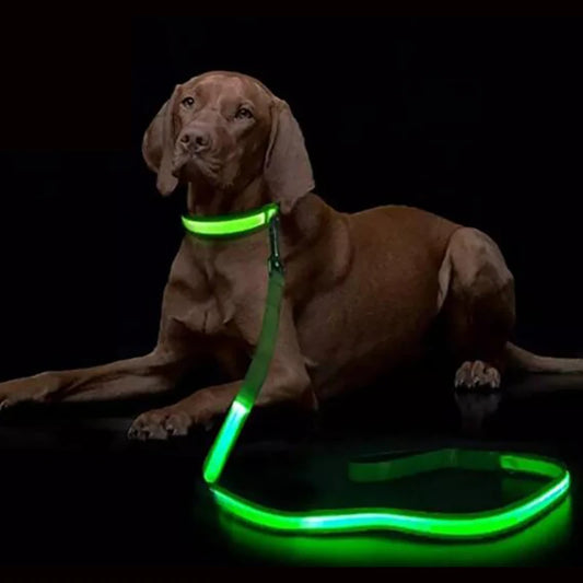 YTYINCN LED Light Up Dog Leash Luminous Rope With Waterproof Module
